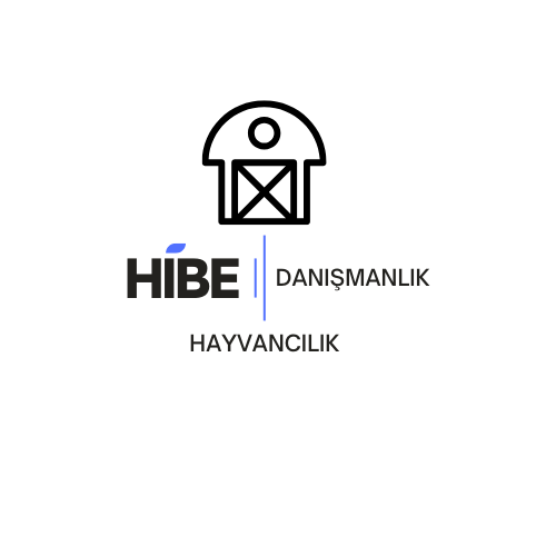 Hayvancılık